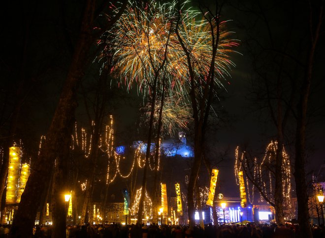 Če bi na silvestrovo namesto kanonade raje šli na tih nočni sprehod, bi morda opazili živali, s katerimi si delimo življenjski prostor. FOTO: Matej Družnik/Delo
