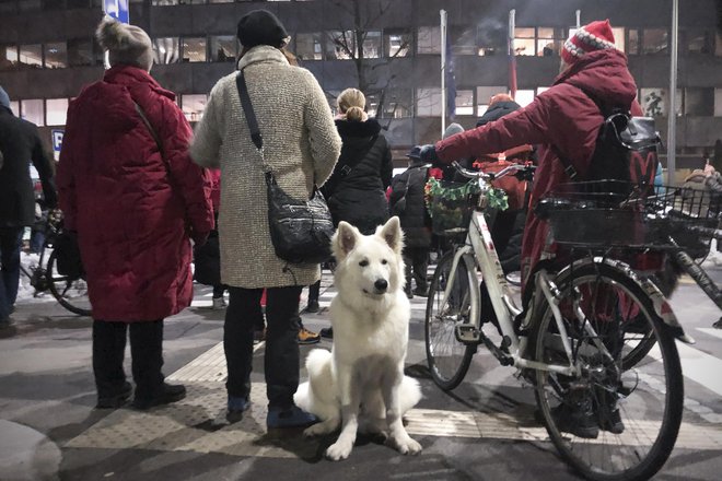 Petkovi protivladni protesti pred RTV Slovenija. FOTO: Jure Eržen/Delo
