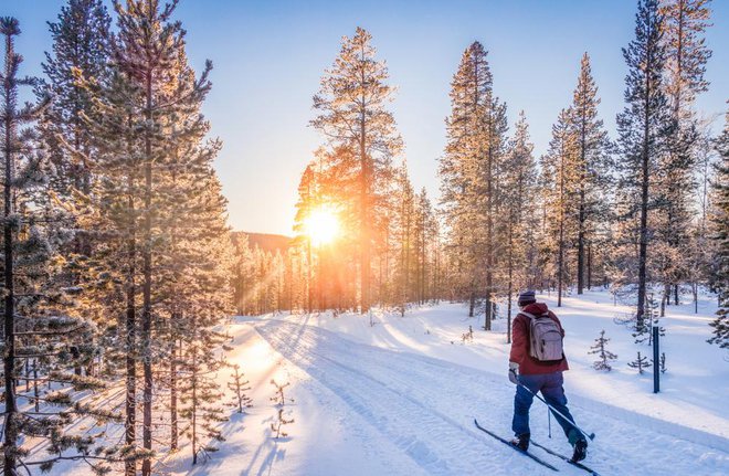 Najbolj po kmečko lahko razložimo, da je to način prehranjevanja, ki vsebuje toliko energije in posameznih hranilnih snovi, kot jih posameznik potrebuje. FOTO: Shutterstock
