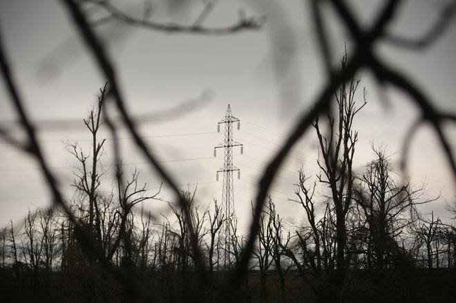 Tudi če država ukrepa danes, bo prepozno, a precej bolje, kot da sploh ne bi, saj bodo visoke cene verjetno še vztrajale. FOTO: Jure Eržen/Delo
