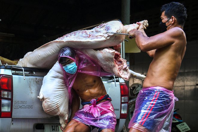 Mesarji raztovarjajo kose svinjskega mesa iz tovornjaka na tržnici v Bangkoku. Tajske oblasti so v torek sporočile, da je bila afriška prašičja kuga odkrita v vzorcu površinskega brisa v klavnici v Bangkoku. Foto: Chalinee Thirasupa/Reuters

&nbsp;
