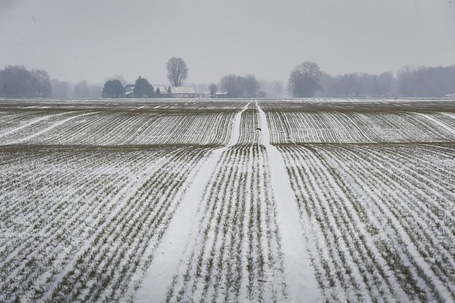 Navzočnost madžarskega denarja v Sloveniji vrača v mitske čase, prelom v 90. leta, čas naivnosti, ko je Slovenija menda želela biti podobna zahodnim državam in privlačna za njihove investitorje.&nbsp; FOTO: Leon Vidic
