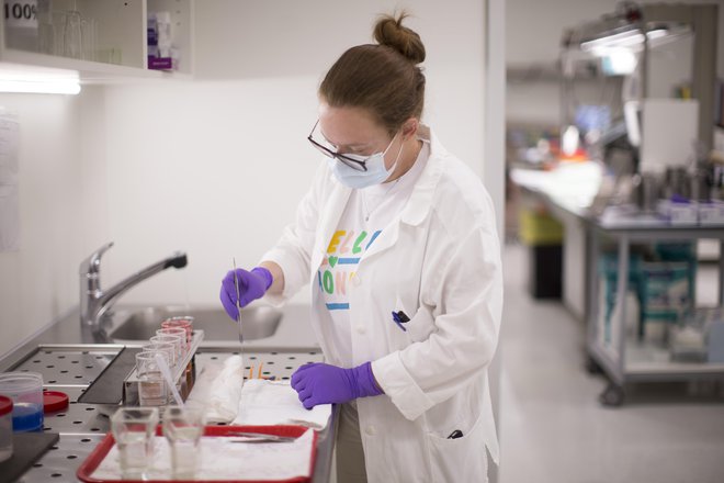 Po novem bi lahko opravili od 16.000 do 18.000 analiz testov PCR na dan. FOTO: Jure Eržen/Delo
