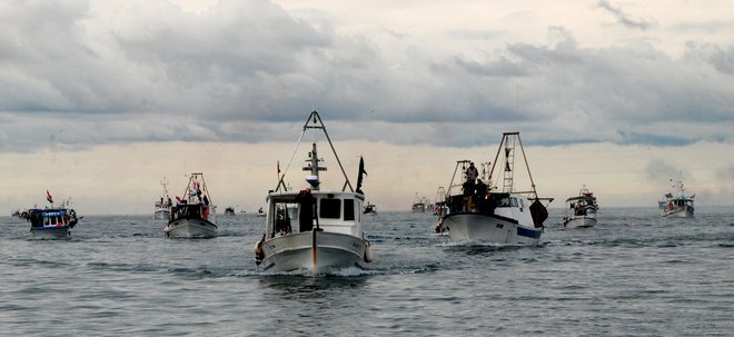 Hrvaški ribiči pred Piranom. FOTO:&nbsp;Boris Šuligoj
