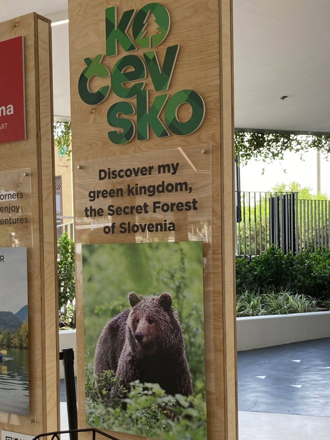 V sklopu predstavitve se lahko obiskovalci podajo tudi na virtualno kolesarsko doživetje po Kočevski, podrobneje spoznajo rjavega medveda. FOTO: Kocevsko.com
