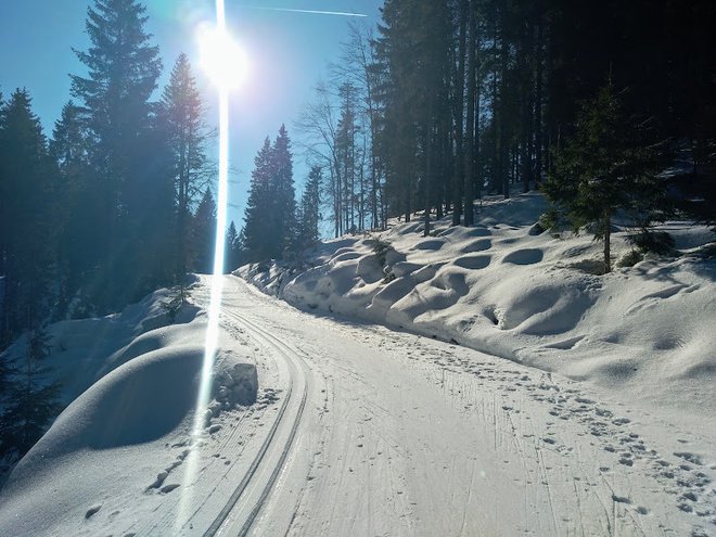 Kaj pravite? FOTO: Miroslav Cvjetičanin/Delo
