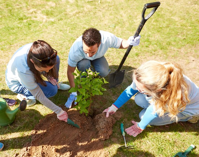 Ena od velikih priložnosti je, da bi podjetja v času, ko dela ni dovolj, zaposlene pošiljala na prostovoljno delo v lokalnem okolju. FOTO: Syda Productions/Shutterstock
