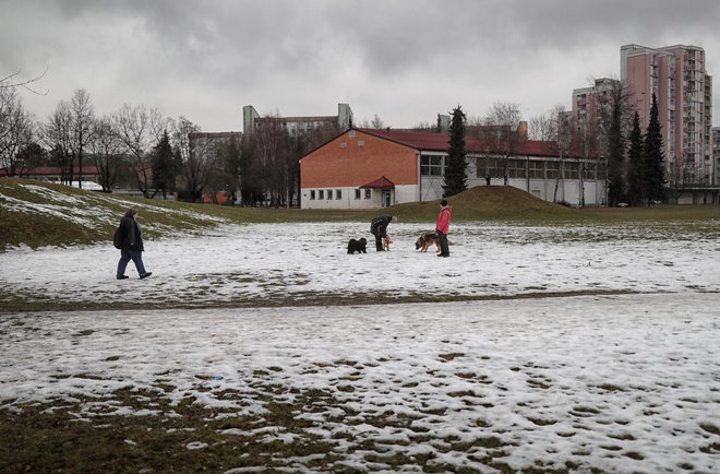 Na teh zelenih površinah v Šiški naj bi zgradili štiri stanovanjske bloke, ki jim stanovalci odločno nasprotujejo. FOTO: Blaž Samec/Delo
