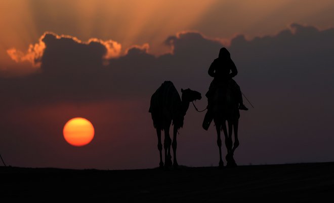 V puščavi blizu mesta Madinat Zayed, približno 150 km zahodno od emiratske prestolnice Abu Dhabi, poteka festival kamel Mazayin Dhafra. Le ta vključuje lepotno tekmovanje kamel, razstavo ročnih del ZAE in druge dejavnosti, namenjene promociji folklore države. Foto: Karim Sahib/Afp

&nbsp;
