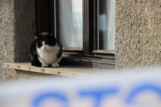 Okolica je zavarovana s policijskim trakom. FOTO: Tanja Jakše Gazvoda/Slovenske novice
