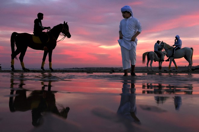 Emiračani jezdijo konje ob sončnem zahodu v Abu Dabiju. Foto: Karim Sahib/Afp

&nbsp;
