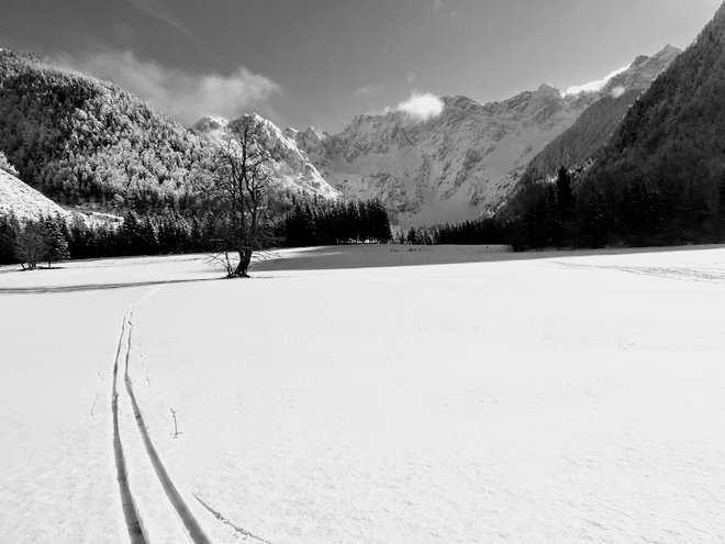 Huntford v svoji knjigi opisuje žival na dveh palicah, s katerima je v zadnji ledeni dobi po ledeni tundri iskal hrano, živali, za preživetje.&nbsp;FOTO: Miroslav Cvjetičanin&nbsp;
