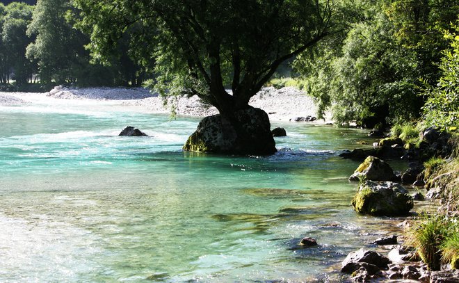 47-letni osumljenec je kot ponudnik turističnih storitev na Gorenjskem unovčeval turistične bone FOTO: Igor Modic/Delo
