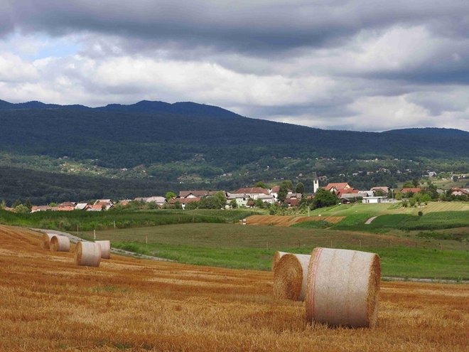 Trasa železniške proge je tekla skozi Dragatuško polje, kjer bi potekala tudi kolesarska pot. FOTO: Osebni arhiv
