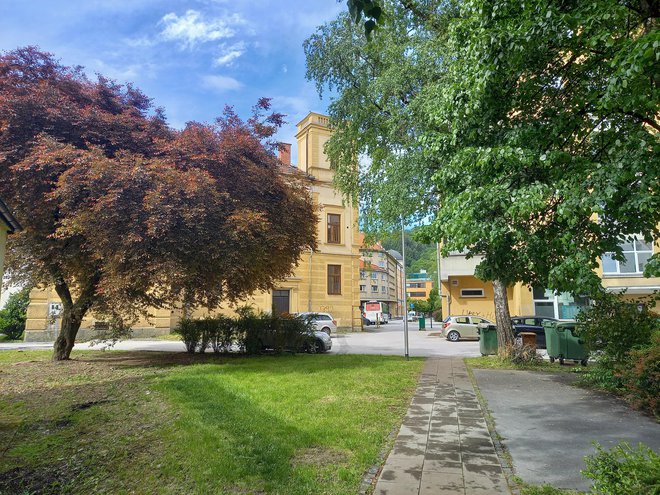 Zadnje tedne si nekateri občani prizadevajo za ohranitev ringloja (levo) sredi mesta, kjer je načrtovan vhod na to območje, kjer bodo varovana stanovanja. FOTO: Metka Krajnc
