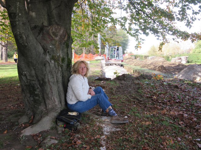 Irena Ašič je pred dobrimi štirimi leti rešila bukev v mestnem parku. Sedela je pod njo, dokler niso trase kolesarske steze premaknili, da se je drevo ohranilo. FOTO: Špela Kuralt/Delo
