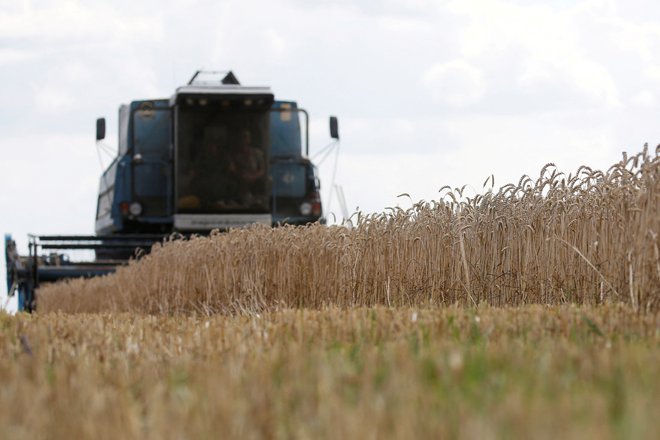 Ukrajina, ki ima večino polj na vzhodu države ob meji z Rusijo, je tudi največja izvoznica koruze in ječmena. Foto Valentyn Ogirenko/Reuters
