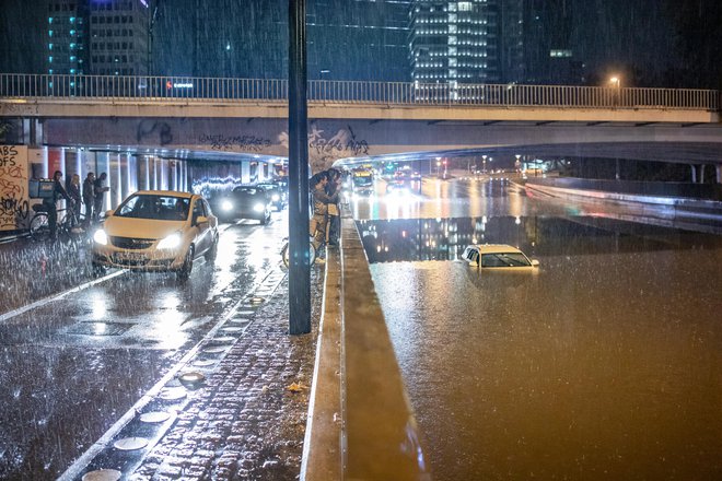 Znanstveniki opozarjajo na pogostejše uničujoče orkane, vročinske valove, suše in poplave, ki jih nekatere vrste rastlin in živali že ne prenesejo več. Foto Voranc Vogel
