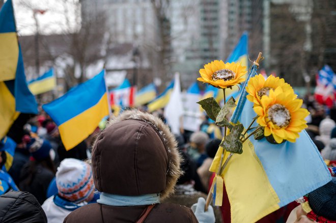 Sončnice spremljajo tudi proteste proti vojni po številnih drugih državah. FOTO: Andrej Ivanov/Afp
