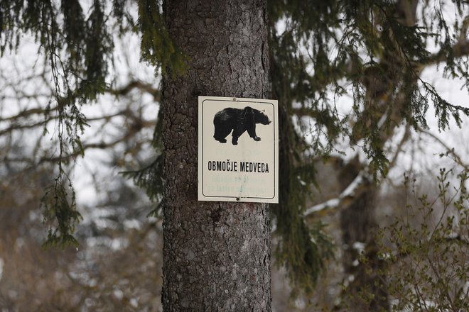 Table, ki opozarjajo na začetek območja&nbsp;medveda, so iz leta v leto bližje Ljubljani.
