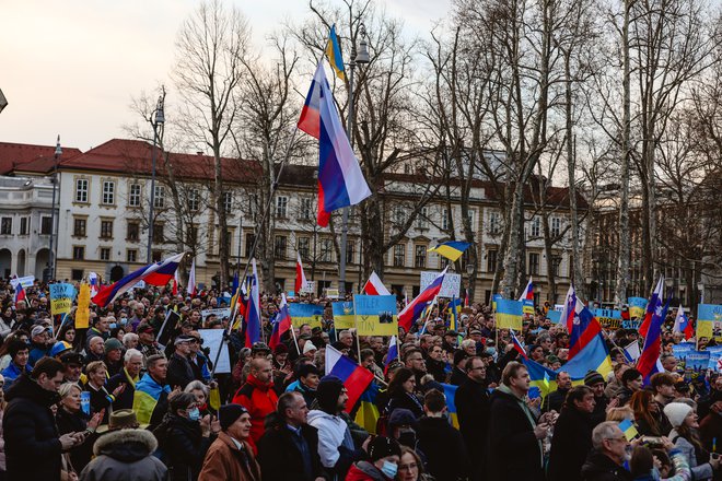 FOTO: Črt Piksi/Delo
