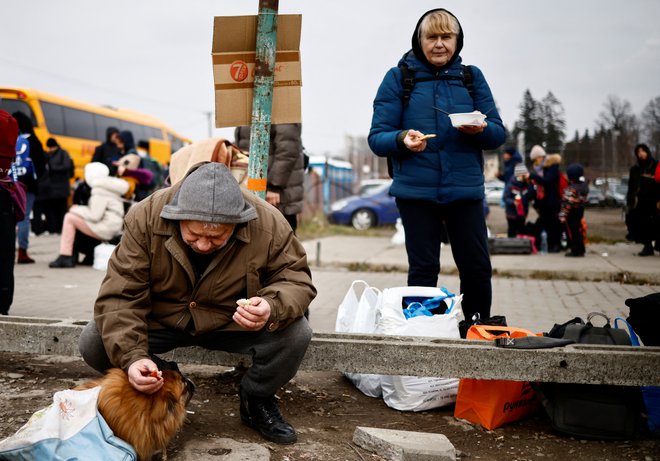 Številne organizacije za zaščito živali in mnogi ljudje so začeli v okviru pomoči zbirati še hrano za pse in mačke na begu.

FOTO: Yara NardiI/Reuters
