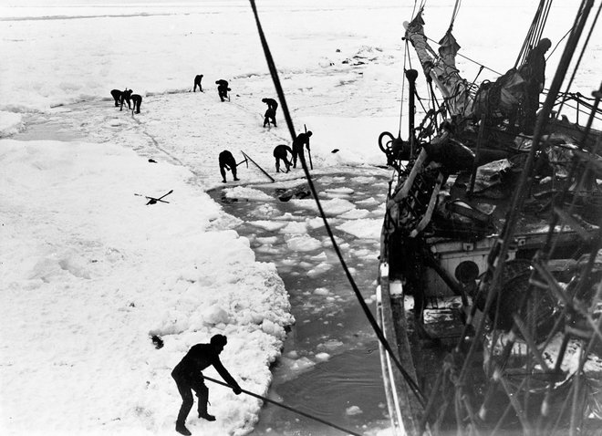 Dva dni in dve noči so se trudili, da bi ladjo izkopali iz primeža ledu, a temperature so vztrajno padale in voda je sproti zmrzovala. FOTO: Frank Hurley
