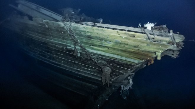Les je v presenetljivo dobrem stanju. FOTO: Falklands Maritime Heritage Trust/National Geographic
