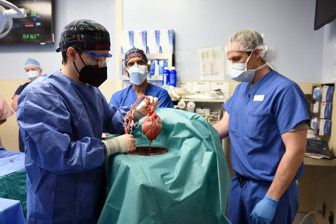 Operacije presaditve prašičjega srca. FOTO: AFP
