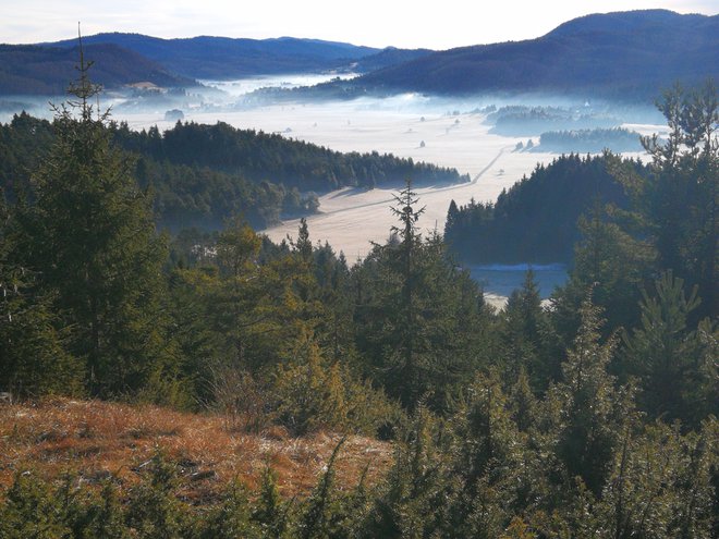 Babno polje kot najvišje ležeče kraško polje v Notranjskem podolju zaključuje Notranjsko. FOTO: Alenka Veber
