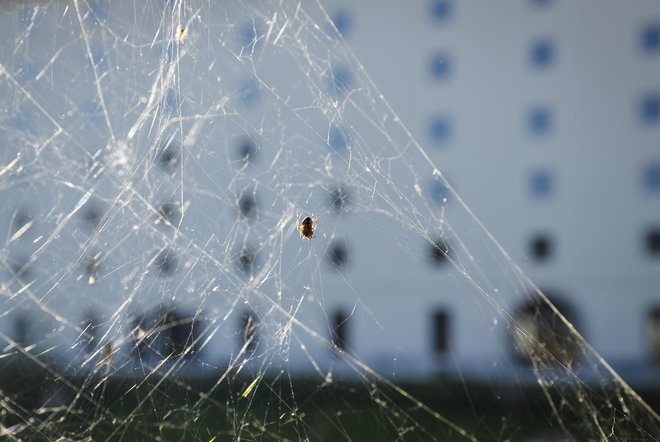 Iz napak in zmot se lahko učimo. Ampak le, če si jih najprej priznamo. FOTO: Jože Suhadolnik
