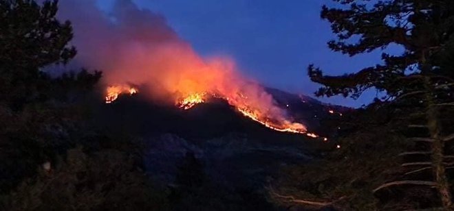 Okoli sto gasilcev se bori s požarom nad cesto Ajdovščina&ndash;Col. FOTO: Facebook/PGD Ajdovščina
