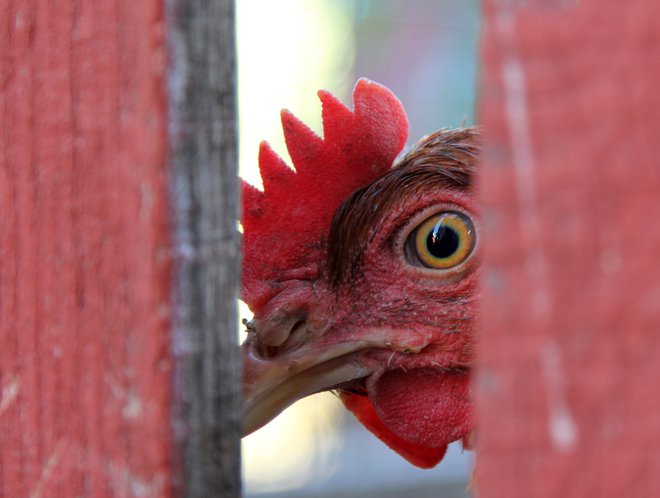 Moški cenijo ravnovesje prav tako kot ženske. Razlika je v jeziku, ki ga pri iskanju tega uporabljajo. FOTO: Shutterstock
