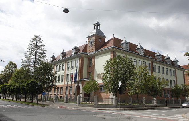 Mladika, kjer je danes zunanje ministrstvo, je bila najprej internat za dekleta. FOTO: Leon Vidic/Delo
