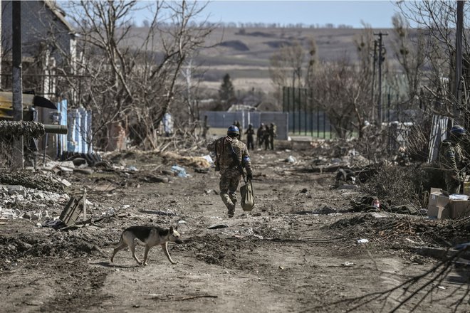 Vas Mala Rogan vzhodno od Harkova. FOTO: Aris Messinis/AFP
