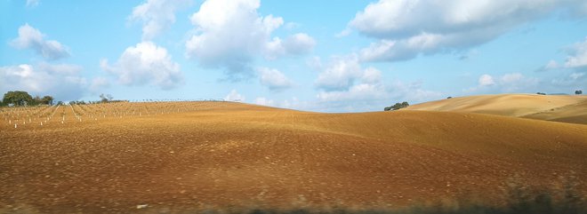 Rodovitna pokrajina v okolici FOTO: Mitja Felc
