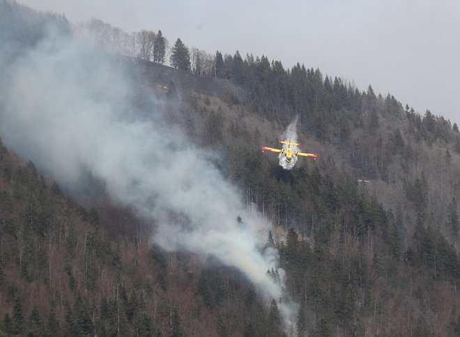 Gašenje naj bi zaradi težko dostopnega terena trajalo vsaj še dan ali dva, pri čemer pristojni upajo tudi na pomoč dežja. FOTO: Dejan Javornik/Slovenske novice
