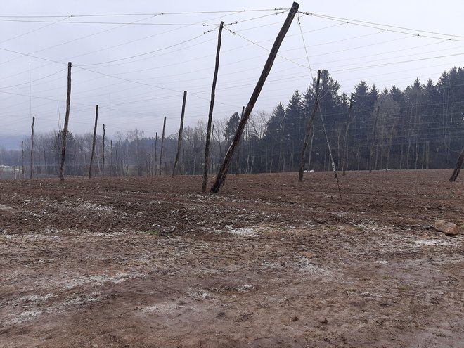 Le na štirih od šestnajstih kmetij sporne sadre še niso zadelali v tla. Kjer so jo, je sadra vidna od daleč (na fotografiji). FOTO: Mateja Kotnik/Delo
