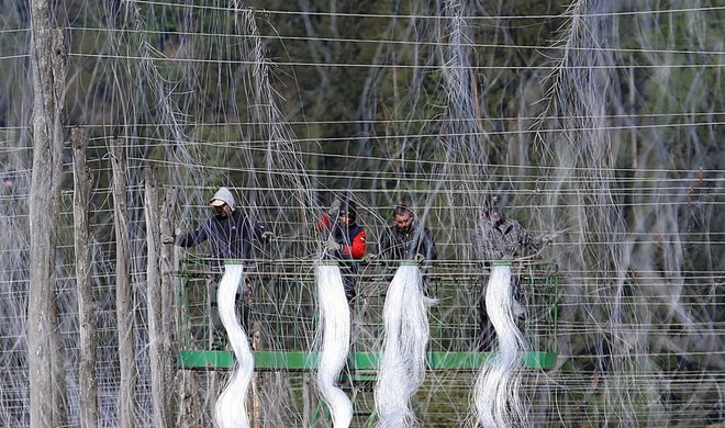 Le na štirih od šestnajstih kmetij sporne sadre še niso zadelali v tla. FOTO: Tadej Regent/Delo
