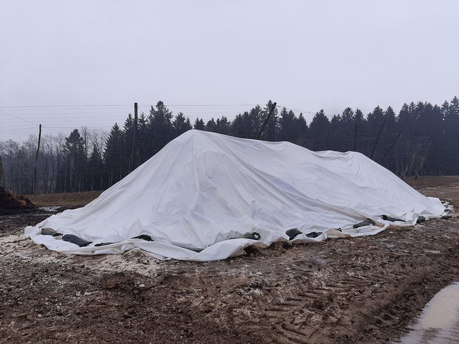 Če se bo dokazalo, da gre tudi pri preostalih kmetovalcih za sadro (analize so doslej to potrdile pri dveh), jo bodo morali odstraniti in odpeljati na primerno deponijo. FOTO: Mateja Kotnik/Delo
