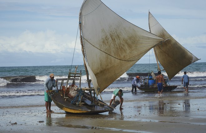 Da jangada pristane na plaži, je potrebne nekaj spretnosti. Ribič mora pred obalo ujeti pravi val, ki ga nato naplavi na kopno. FOTO: Primož Zrnec
