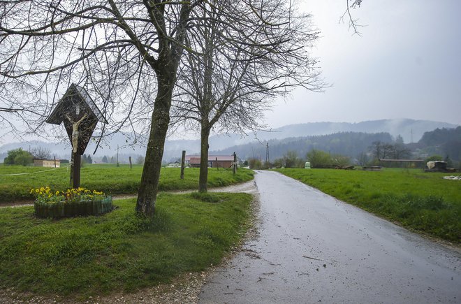 Obvoznica Gameljne bi se izognila stanovanjskim objektom in večini kmetijskih zemljišč. FOTO: Jože Suhadolnik/Delo
