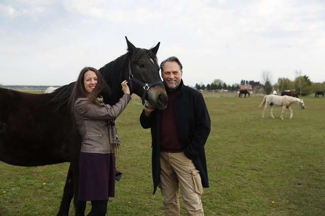 Konji nas s svojo izjemno čustveno inteligenco vedno znova presenečajo, v družbi kastrata Princa pravita zakonca Metka Demšar Goljevšček in Alexander S. Goljevšček. Foto Leon Vidic
