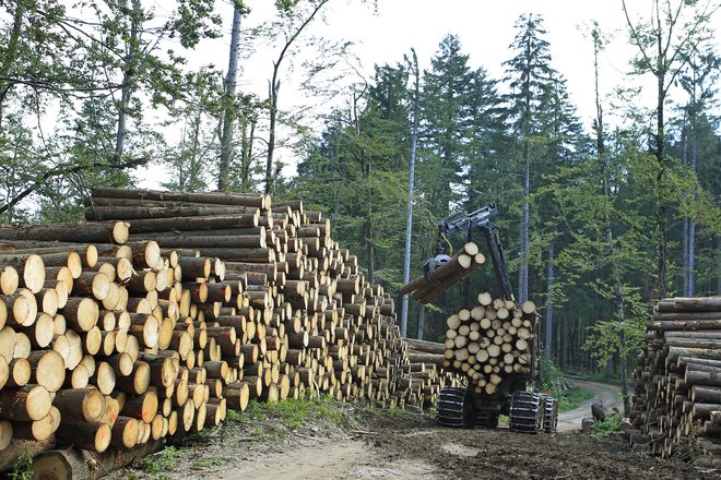 Hlod je stisnil&nbsp;glavo otroka.&nbsp;FOTO: Leon Vidic/Delo
