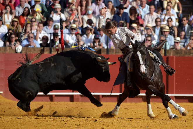 Lea Vicens, francoska bikoborka na konju (rejoneadora), se pripravlja na zabadanje meča v bika med festivalom bikoborb Feria de Abril na La Maestranzi v Sevilli. Foto: Cristina Quicler/Afp
