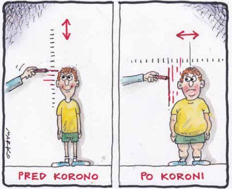 KARIKATURA: Marko Kočevar
