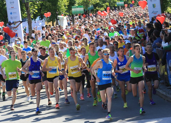 Letos vse kaže, da bodo Radenci vendarle dočakali jubilejno štirideseto izvedbo maratona. FOTO: Tadej Regent/Delo
