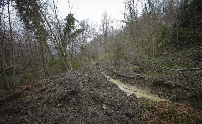 Fotografija je simbolična. FOTO: Jože Suhadolnik/Delo
