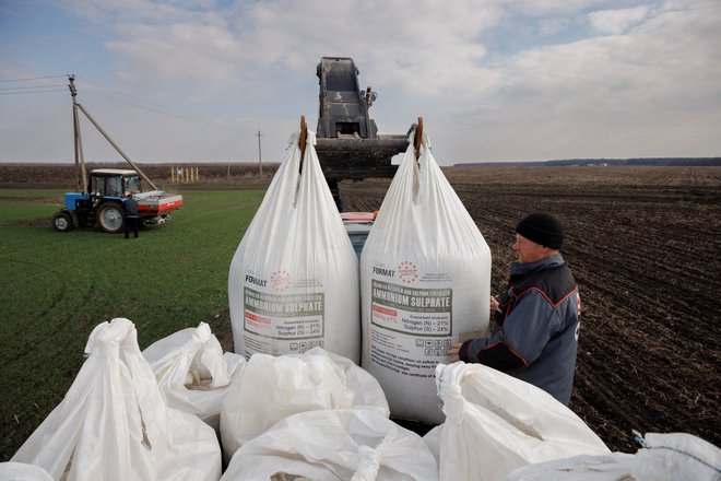 Namesto po Črnem morju bo Ukrajina lahko več žita izvozila prek EU. FOTO: Thomas Peter/Reuters
