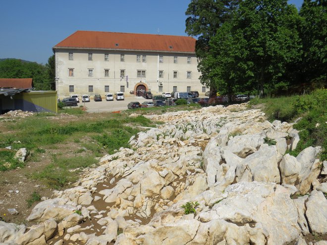 Zemljišče zraven ženskega zapora na Igu so arheologi temeljito prečesali. FOTO: Bojan Rajšek/Delo
